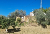 Finca rústica en venda a Antequera ref.: TR102970 foto