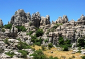 Finca rústica en venda a Antequera ref.: TR102970 foto