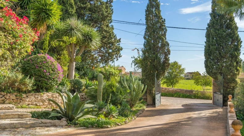 Illes Balears - Palma - 5000m2