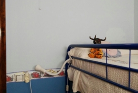 Foto 16