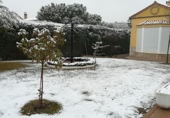 Xalet independent amb terreny en venda a Santa Cruz de Mudela ref.: TR15215 foto