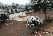 Xalet independent amb terreny en venda a Santa Cruz de Mudela ref.: TR15215 foto