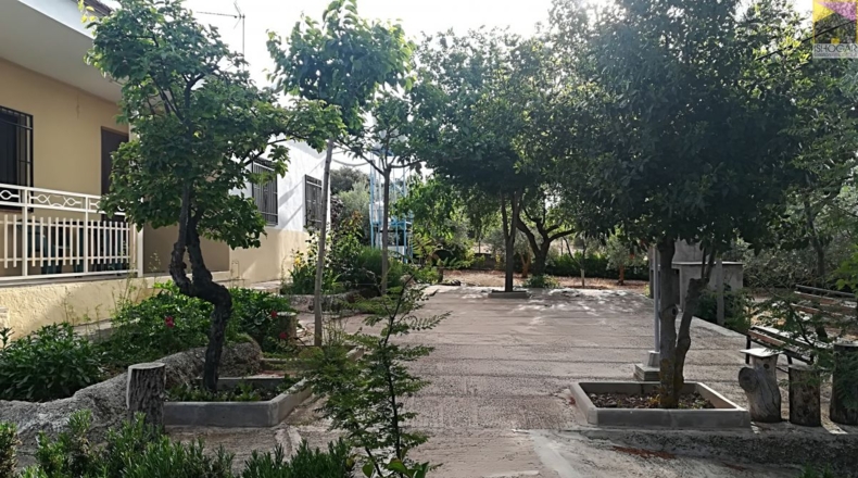 Ciudad Real - Valdepeñas - 1000m2