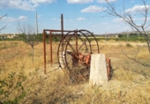 Rural estate for sale in Torrenueva ref: TR201945 photo