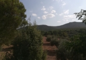 Finca rústica en venta en Viso del Marqués ref: TR21532 foto