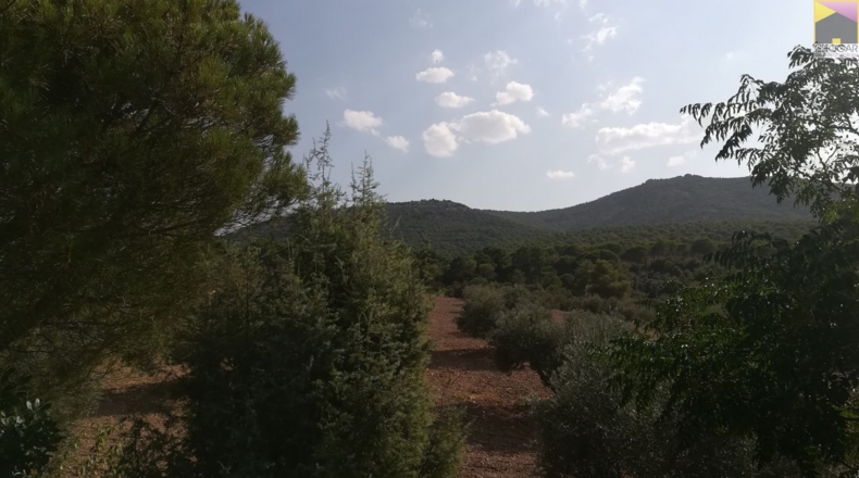 Ciudad Real - Viso del Marqués - 1900m2