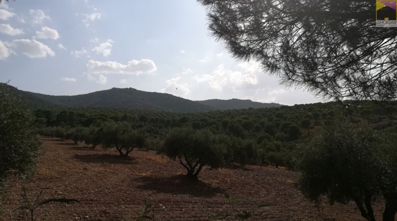 Ciudad Real - Viso del Marqués - 1900m2