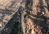 Finca rústica en venda a Valdepeñas ref.: TR104793 foto