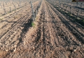 Finca rústica en venda a Valdepeñas ref.: TR104793 foto