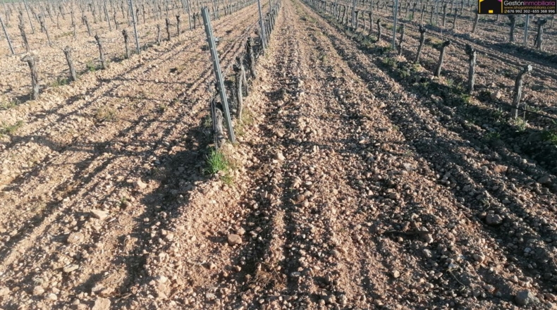 Ciudad Real - Valdepeñas - 350000m2