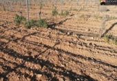 Finca rústica en venda a Valdepeñas ref.: TR104793 foto