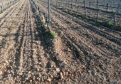 Finca rústica en venda a Valdepeñas ref.: TR104793 foto