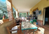 Chalet independiente con terreno en venta en Carmona ref: TR188361 foto