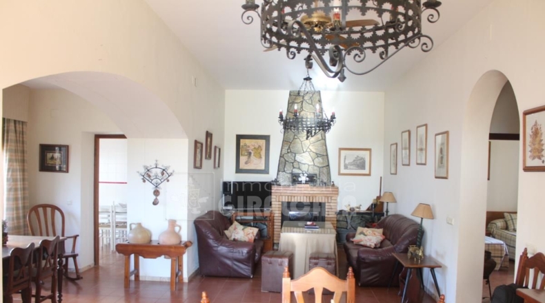 Sevilla - Mairena del Alcor - 38299m2
