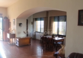 Rural estate for sale in Mairena del Alcor ref: TR92420 photo
