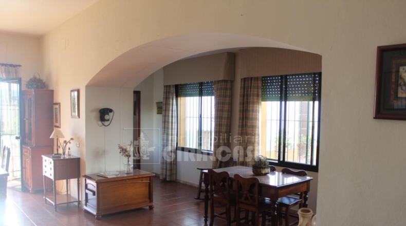 Sevilla - Mairena del Alcor - 38299m2