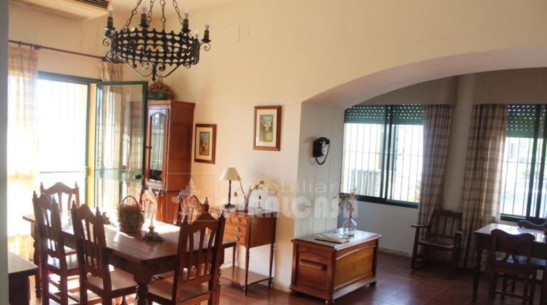 Sevilla - Mairena del Alcor - 38299m2