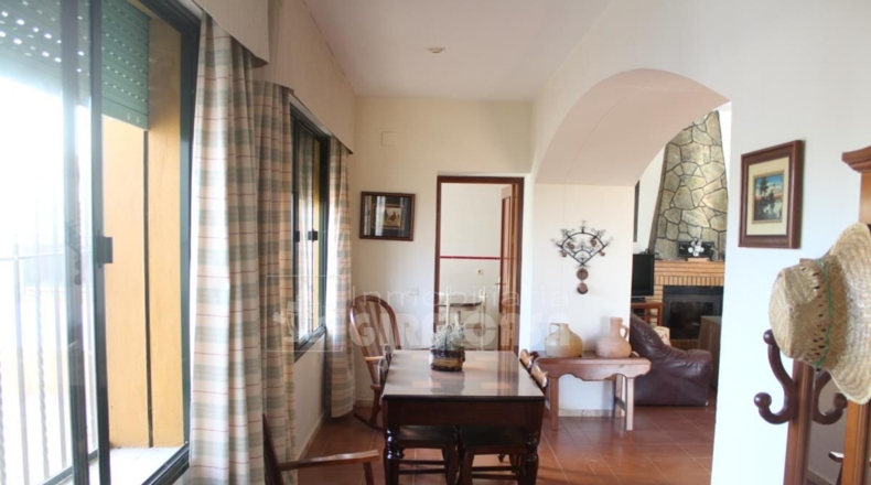 Sevilla - Mairena del Alcor - 38299m2