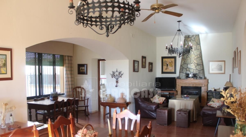 Sevilla - Mairena del Alcor - 38299m2