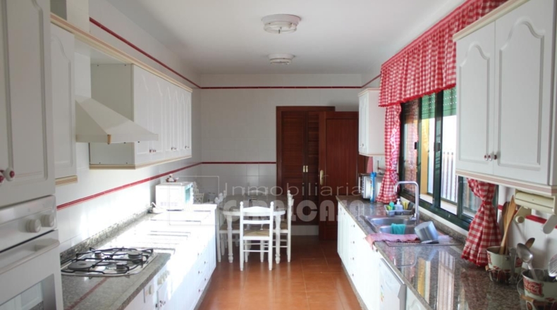 Sevilla - Mairena del Alcor - 38299m2