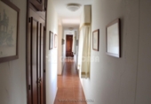 Rural estate for sale in Mairena del Alcor ref: TR92420 photo