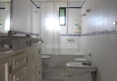 Rural estate for sale in Mairena del Alcor ref: TR92420 photo