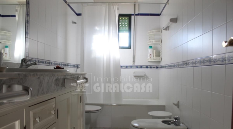 Sevilla - Mairena del Alcor - 38299m2