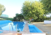 Rural estate for sale in Mairena del Alcor ref: TR92420 photo