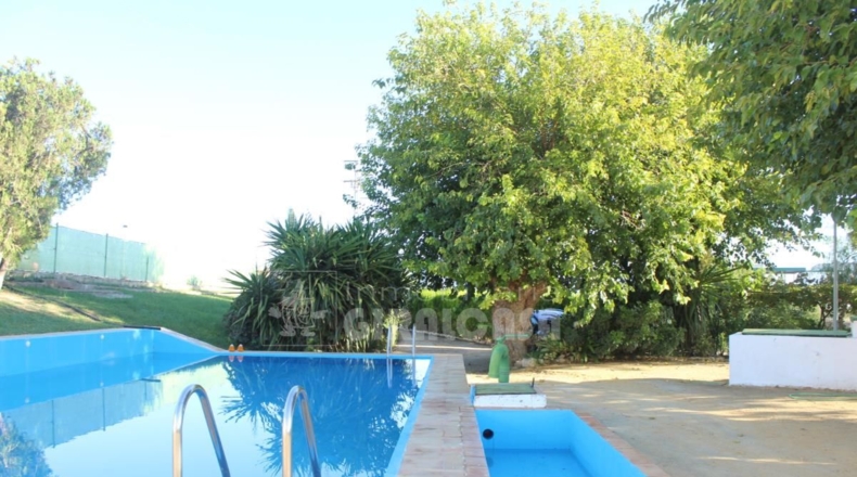Sevilla - Mairena del Alcor - 38299m2