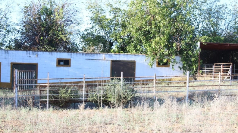 Sevilla - Mairena del Alcor - 38299m2