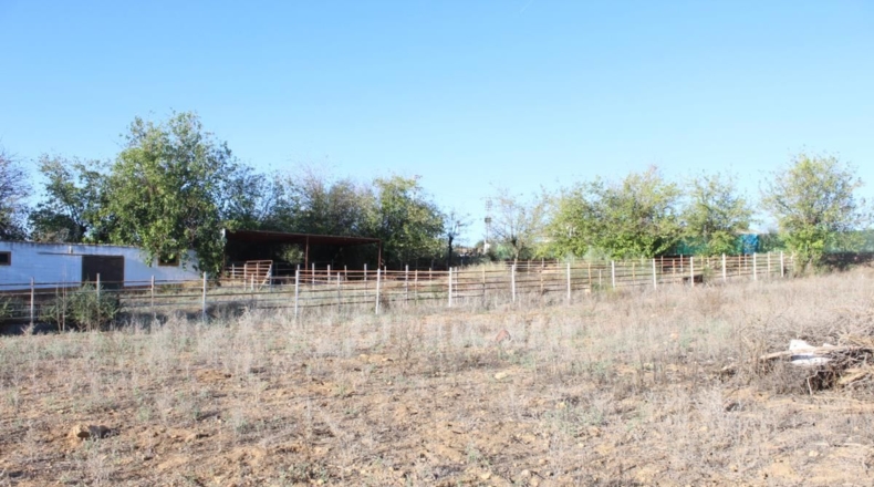 Sevilla - Mairena del Alcor - 38299m2