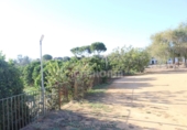 Rural estate for sale in Mairena del Alcor ref: TR92420 photo