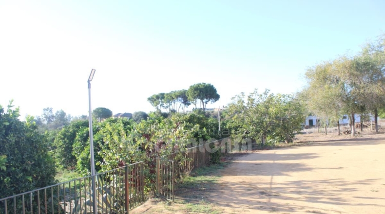 Sevilla - Mairena del Alcor - 38299m2