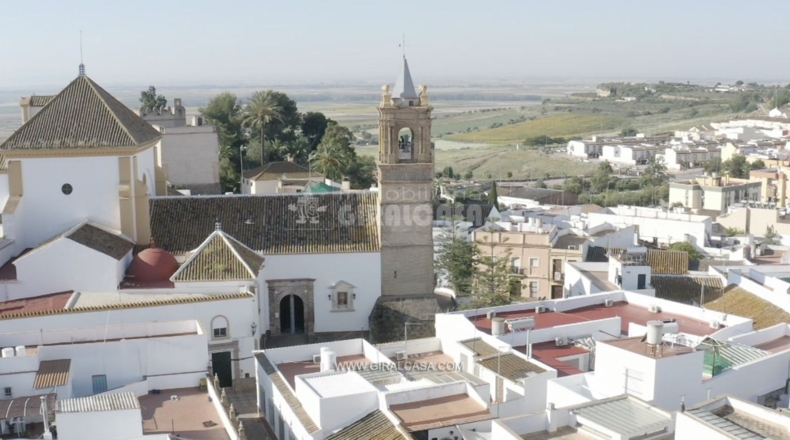 Sevilla - Mairena del Alcor - 38299m2