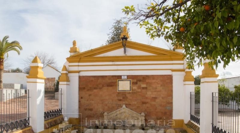 Sevilla - Mairena del Alcor - 38299m2