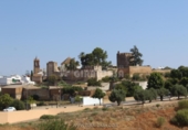 Rural estate for sale in Mairena del Alcor ref: TR92420 photo
