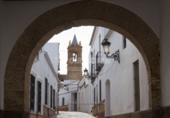 Rural estate for sale in Mairena del Alcor ref: TR92420 photo