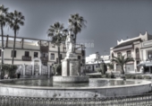 Rural estate for sale in Mairena del Alcor ref: TR92420 photo