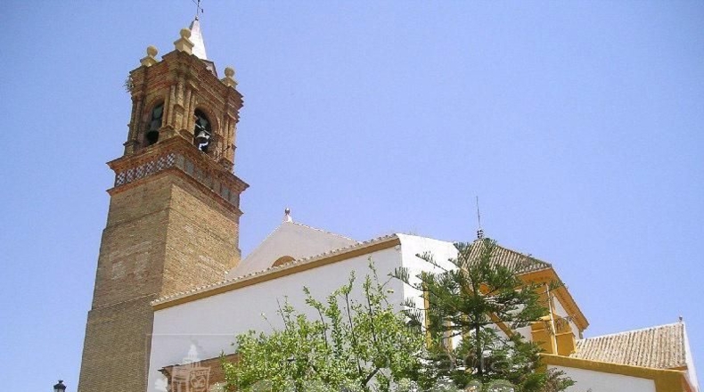 Sevilla - Mairena del Alcor - 38299m2