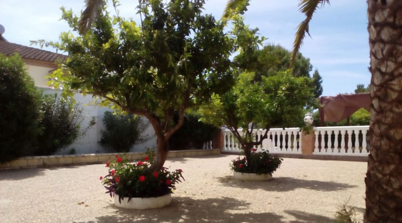 Sevilla - Mairena del Alcor - 2700m2