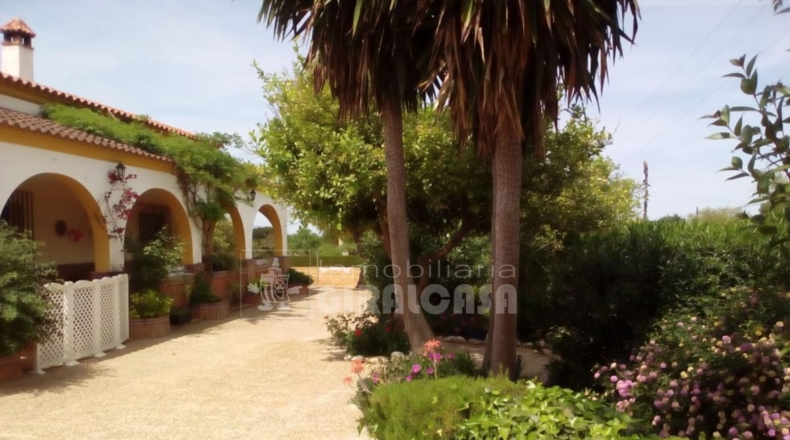 Sevilla - Mairena del Alcor - 2700m2