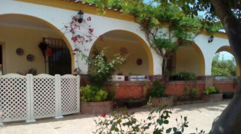 Sevilla - Mairena del Alcor - 2700m2