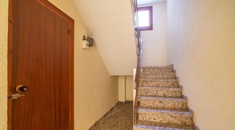 Alicante - Torrevieja - 441m2