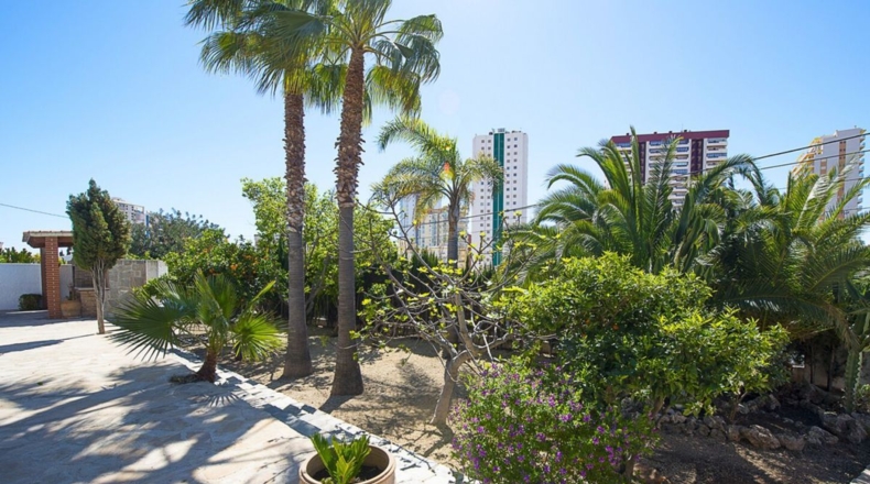 Alicante - Calpe - 2000m2