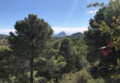 Terreny no urbanitzable en venda a Benissa ref.: TR99439 foto