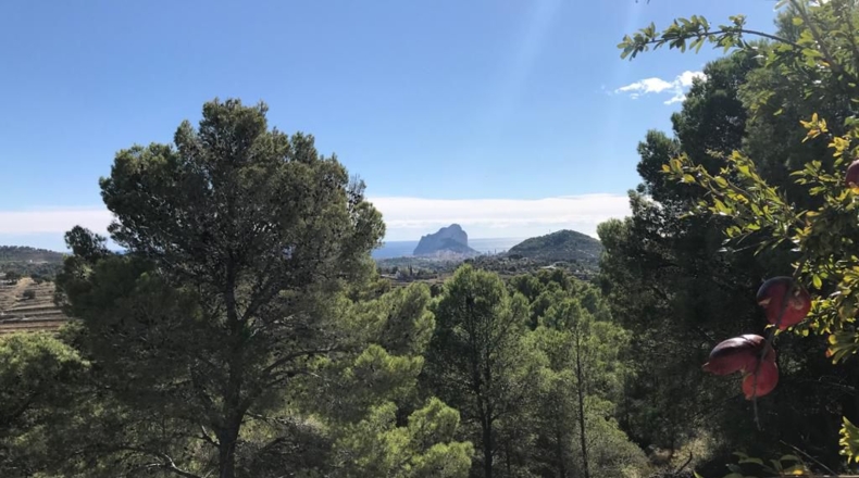 Alicante - Benisa - 11521m2