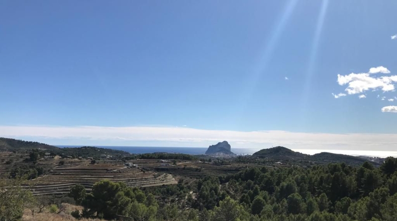 Alicante - Benisa - 11521m2