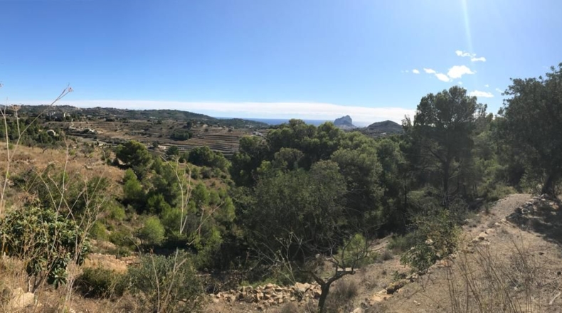Alicante - Benisa - 11521m2