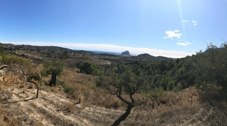 Alicante - Benisa - 11521m2