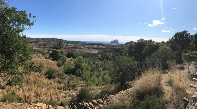 Alicante - Benisa - 11521m2